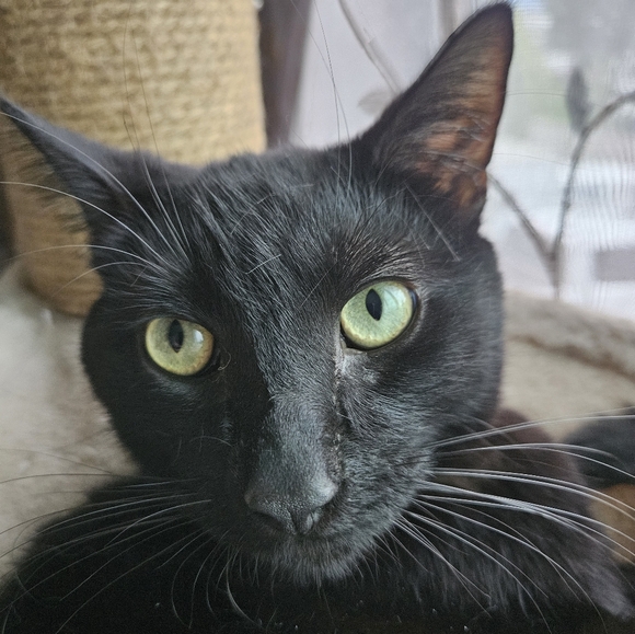 Meet your Posher, Katie - Picture 5 of 16